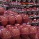 계란한꾸러미 이미지