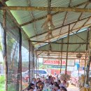 샤론유치원 이미지