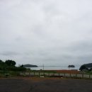 님 바래기 이미지