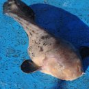 대양회센타 이미지