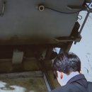 리틀포즈 반려동물 장례식장 이미지