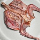 와다다펫푸드 이미지