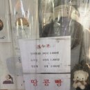 가락시장역 8번출구 이미지