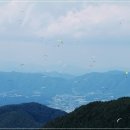 스피드레저