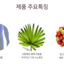 티엘씨 네이버블로그