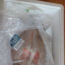 마리오푸드 이미지