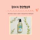 착한펫# | 퓨어프렌즈 착한펫샴푸 추천 사용후기