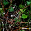 삼양동 선사유적지 이미지