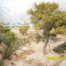 백송농장 이미지