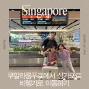 비행기조형물 | 쿠알라룸푸르에서 싱가포르 비행기로 이동하기, 창이 국제공항 면세점 둘러보기