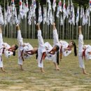 동대문태권도 이미지