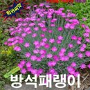 티티산업