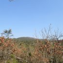 정상길 이미지