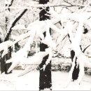 겨울나그네 이미지