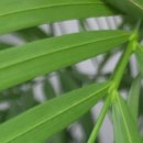 경기시흥내과의원 이미지