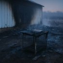 천안메추리농장 이미지