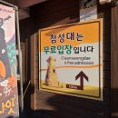 핑크뮬리 꽃단지 원 | 경주 첨성대 주차장 입장료 정보 공유 및 핑크뮬리 해바라기 후기