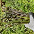 금당목장 이미지