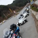 스파이더 GO