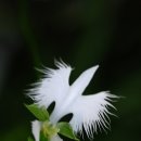 기은오토 이미지