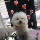 하이바디케어 이미지