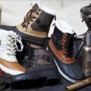 플라잉독 이미지