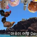 테디스베어