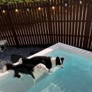 횡성호수펜션 이미지