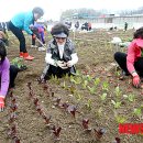 이종철 농장 이미지