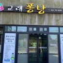 퐁낭 이미지