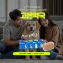 고은 동물약국 이미지
