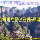 [긴급] 환상의 무릉원 - 장가계 천문산 여행트래킹 이미지