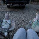 구룡레저타운야영장 이미지