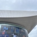 잠자는 숲속의 미녀 | 성인발레 취미발레 # 유니버셜발레단 잠자는 숲속의 미녀 대전 공연 후기
