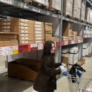 (주)아워제주 | 3월일상(제주스냅, 신혼집입주, 이케아 강동점)