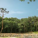 보리수펜션 이미지