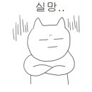 다이소포항