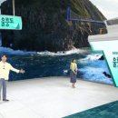 유람선라이브 아시아경제