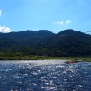 (주) 암새들 이미지