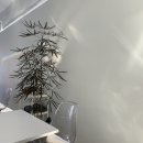 어반엑시트