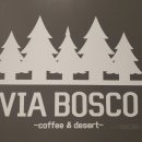 비아보스코 이미지