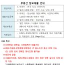 저신용자 담보대출 특화상품-나홀로아파트,빌라,연립,다세대등 이미지