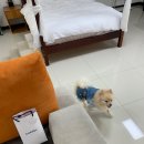 메르시 펜션 이미지