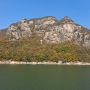 아담행정사 이미지