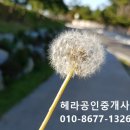 알낳는공인중개사사무소 이미지