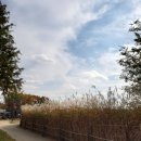 수변2공원 이미지