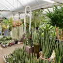 풍경화꽃식물원 이미지