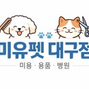 미유펫 강아지애견미용 이미지