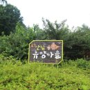 공주산림휴양마을 이미지