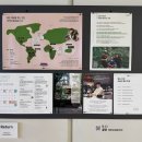 봉래농장 | 부산 영도 / 카페 맛집 / 커피향이 가득한 모모스 커피 영도 로스터리&amp;커피 바